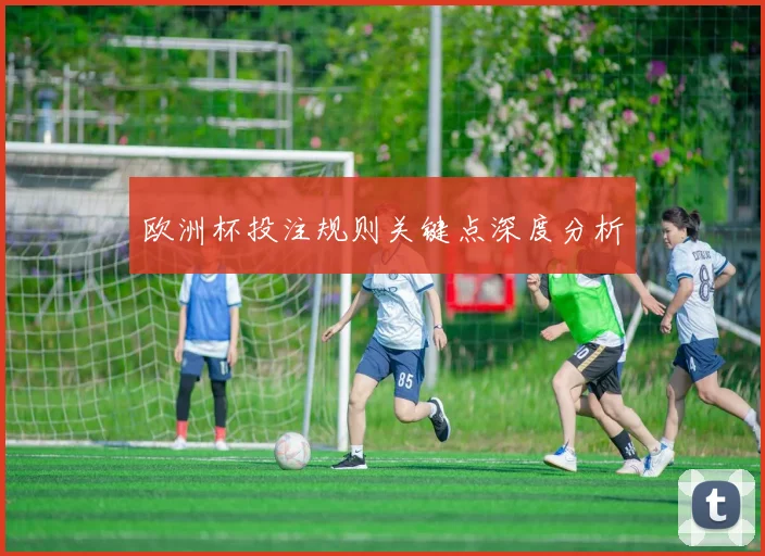 欧洲杯投注规则关键点深度分析