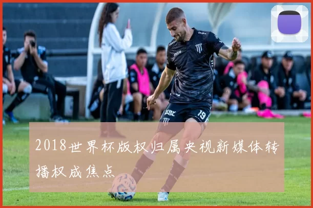 2018世界杯版权归属央视新媒体转播权成焦点