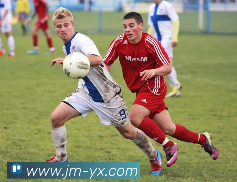 多媒体互动体验